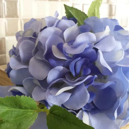 Vista Do Canal Διαμέρισμα Horta (Azores)